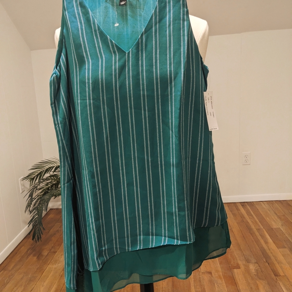 Zac & Rachel Asymmetrical Sheer hem Sleeveless Top Green White Vert Stripe Small